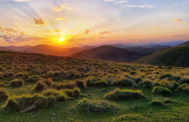 Berrea del ciervo en el Alto Pirineo - Photo 4
