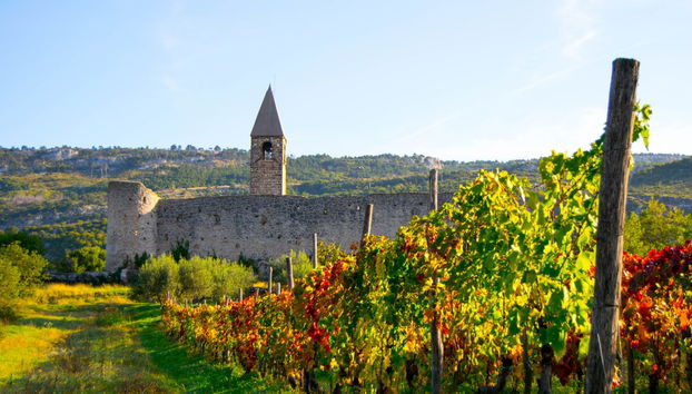 Socerb, Hrastovlje & Marezige Tour - Photo 5