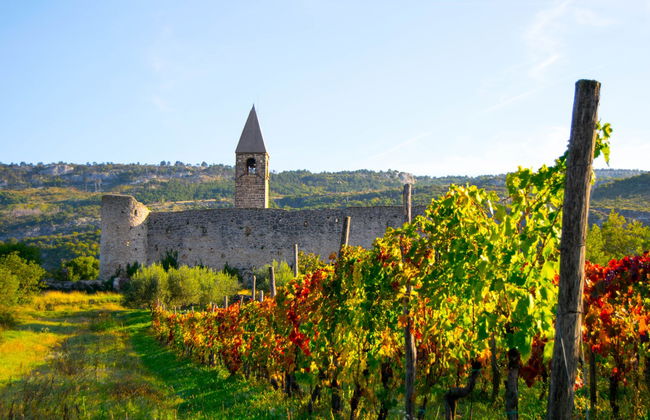 Excursión a Socerb, Hrastovlje y Marezige - Foto 2