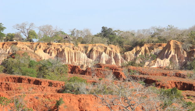 Hell's Kitchen Day Trip - Photo 5