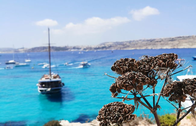 Paseo en goleta por las islas de Gozo y Comino - Foto 4