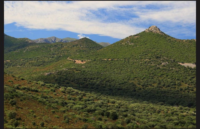 Asco Valley Jeep Tour - Photo 3