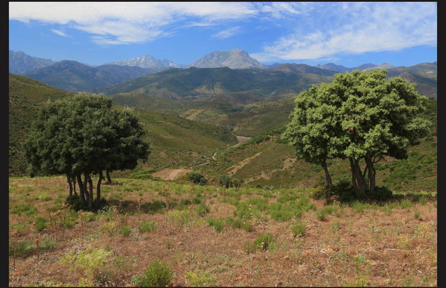 Asco Valley Jeep Tour - Photo 5