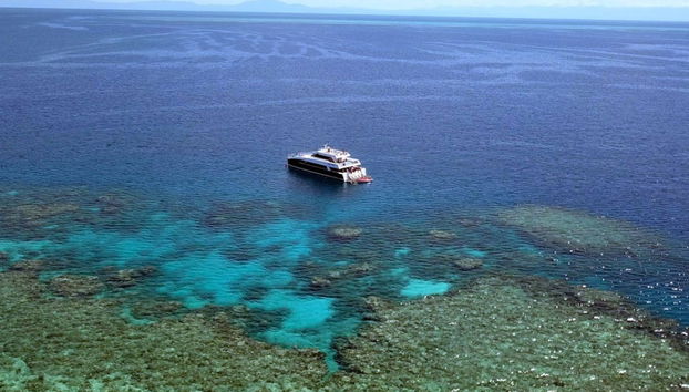 Plongée à la Grande Barrière de Corail