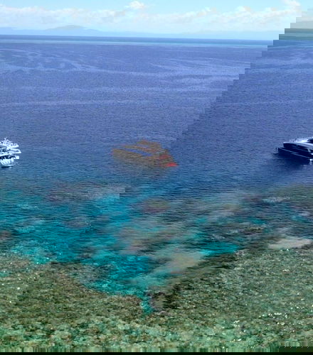 Foto de Buceo en la Gran Barrera de Coral