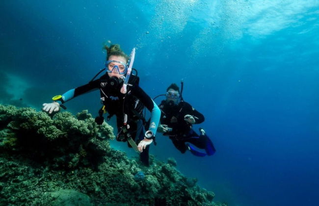 Buceo en la Gran Barrera de Coral - Foto 3