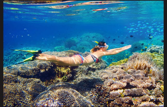 Snorkeling alla Parguera - Foto 1