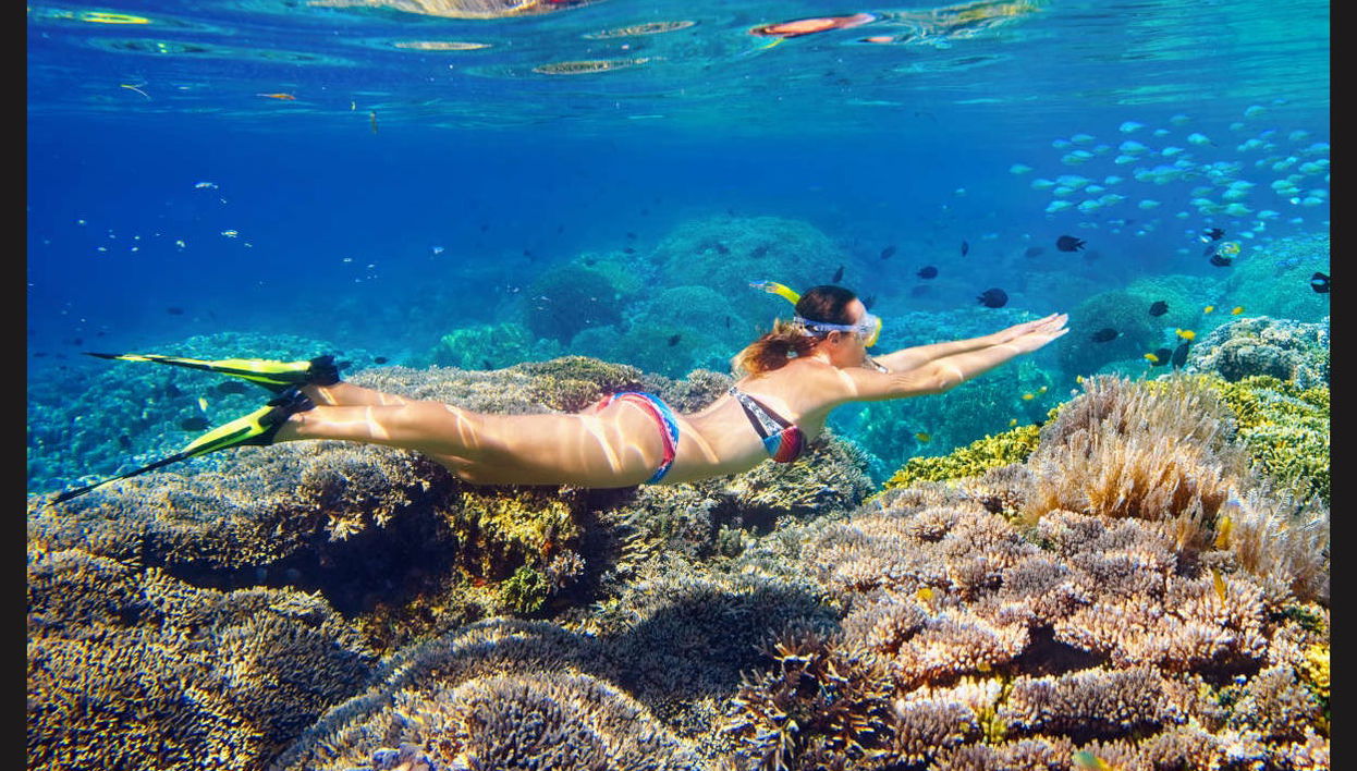 Snorkel en La Parguera - Foto 1