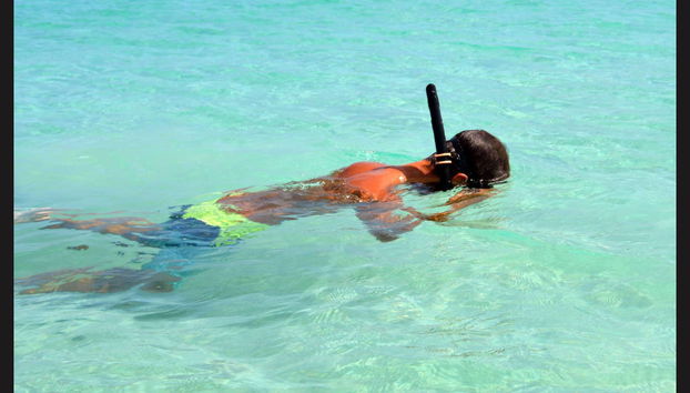 Snorkel en La Parguera - Foto 4