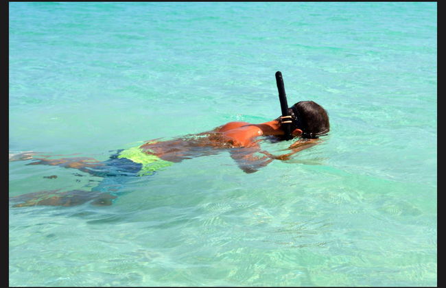 Snorkeling alla Parguera - Foto 4