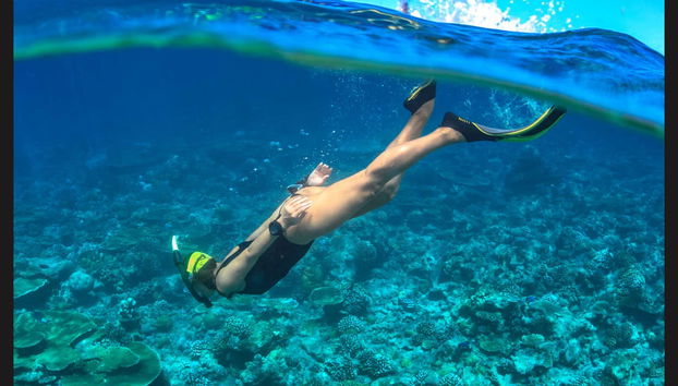 Snorkel en La Parguera - Foto 5