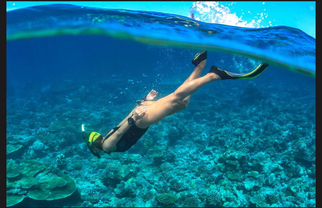 Snorkeling alla Parguera - Foto 5