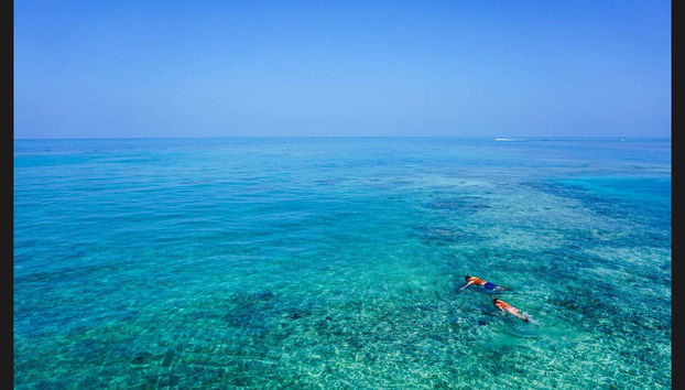 Snorkel en La Parguera - Foto 2