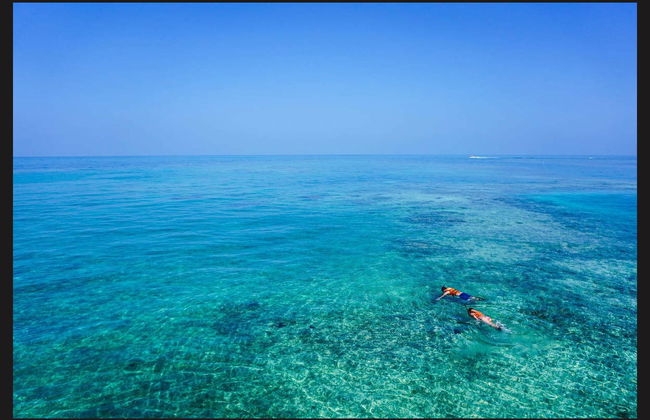 Snorkeling alla Parguera - Foto 2