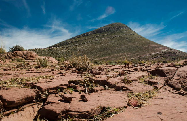 Excursão a Yavi e La Quiaca - Foto 5