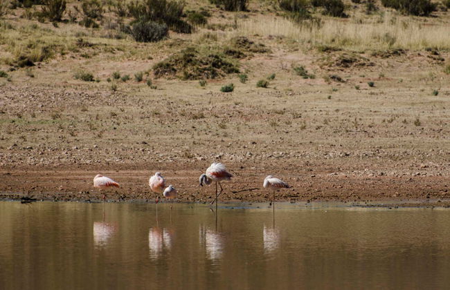 Excursión a Yavi y La Quiaca - Foto 4