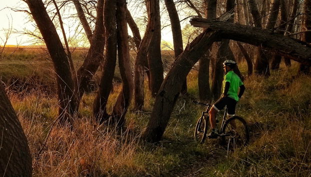 Tour di Olavarría in bici