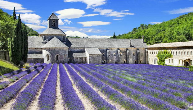 Luberon Lavender Fields - Photo 3