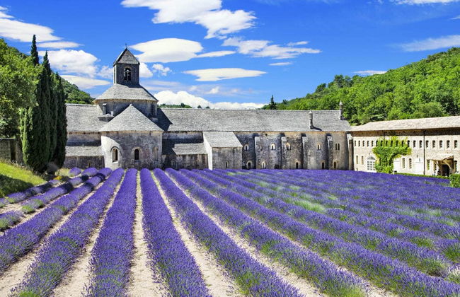 Tour de la lavanda por Luberon - Foto 3