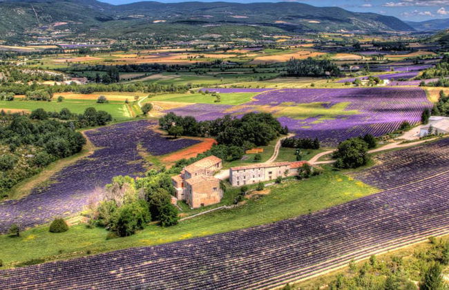 Luberon Lavender Fields - Photo 2