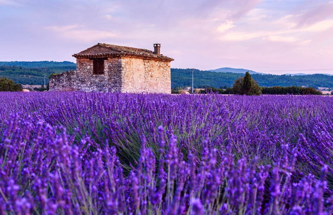 Tour de la lavanda por Luberon - Foto 2