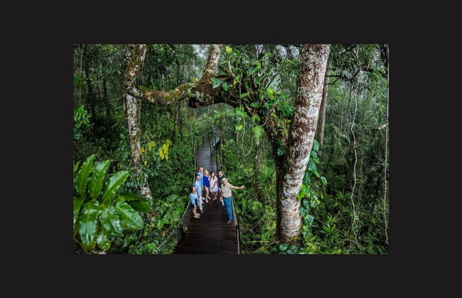 Excursión a Kuranda en tren panorámico + Teleférico - Foto 7