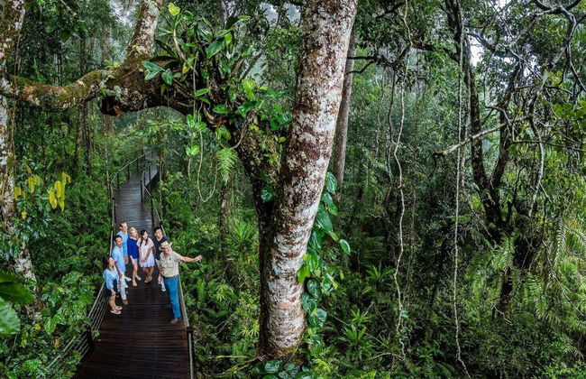 Excursão a Kuranda de trem panorâmico + Teleférico - Foto 7