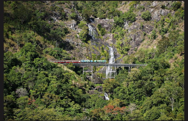 Excursão a Kuranda de trem panorâmico + Teleférico - Foto 2