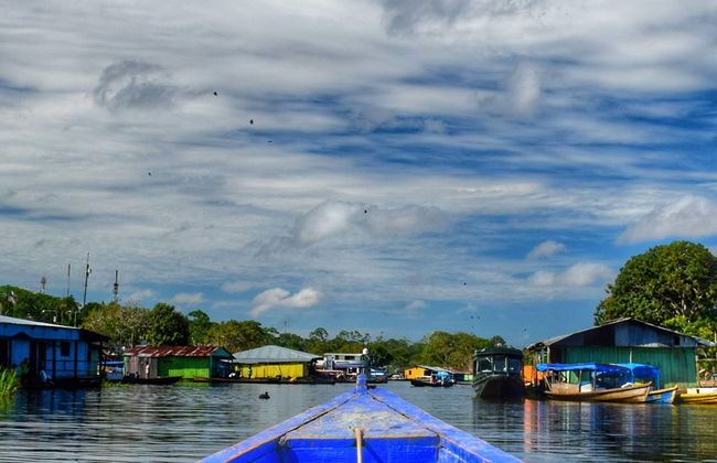 Amazon Three Borders Trip - Photo 7