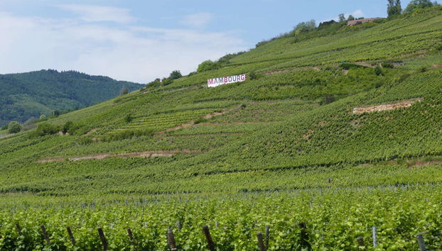 Tour pelos povoados da Alsácia - Foto 5