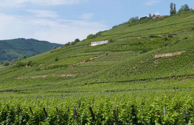 Tour dei villaggi dell'Alsazia - Foto 5