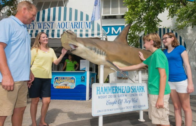 Ingresso do Aquário de Key West - Foto 7