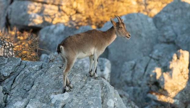 Torcal de Antequera Hiking Trip - Foto 3