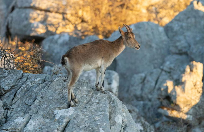 Trekking nel Torcal de Antequera - Foto 3