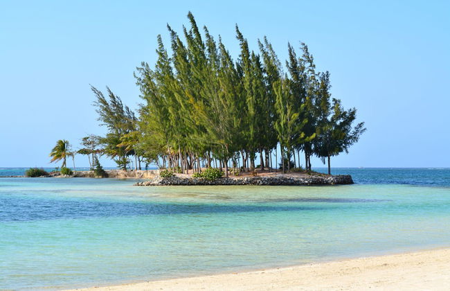 Luxury Catamaran Cruise - Foto 1