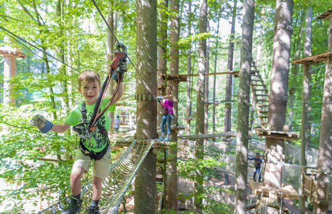Adventure Park Interlaken Ticket - Photo 4