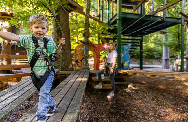 Adventure Park Interlaken Ticket - Photo 11