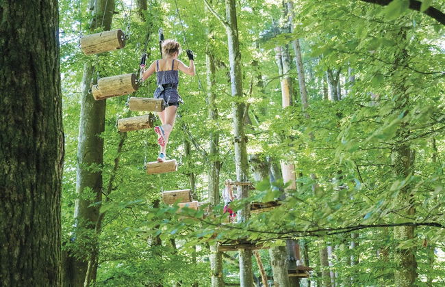 Adventure Park Interlaken Ticket - Photo 8