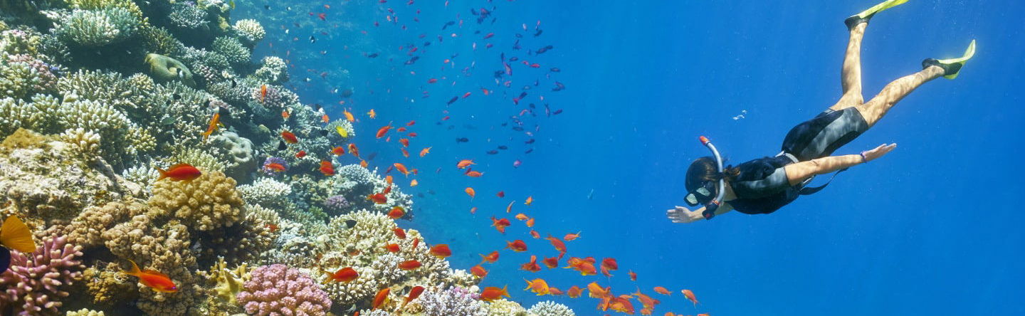 Excursão a Coral Island de lancha - Foto 1