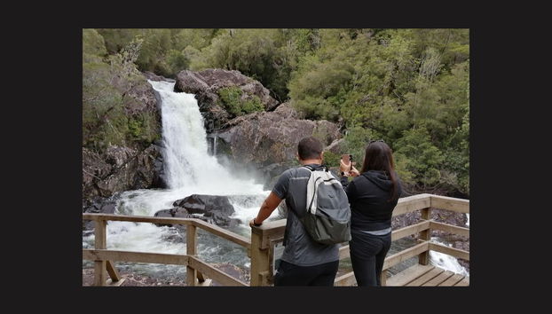 Alerce Andino National Park Trek - Foto 4