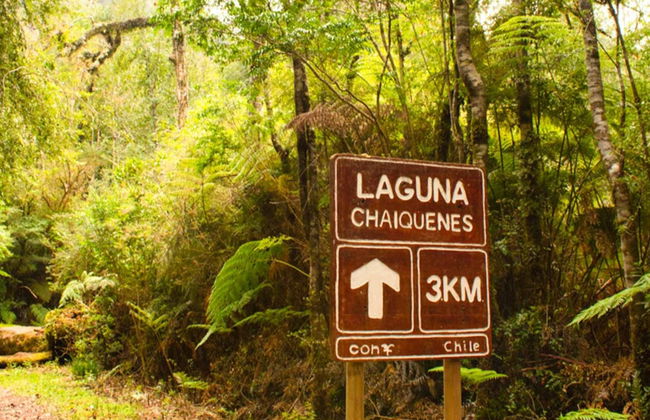 Trilha pelo Parque Nacional Alerce Andino - Foto 4