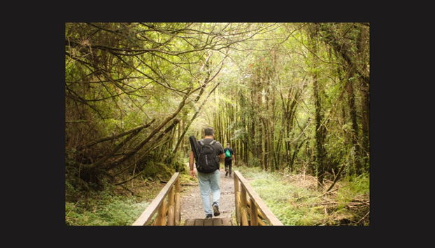 Senderismo por el Parque Nacional Alerce Andino - Foto 4