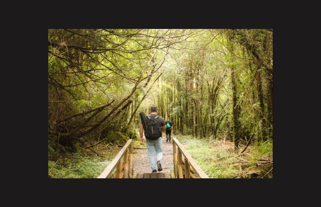 Alerce Andino National Park Trek - Photo 4