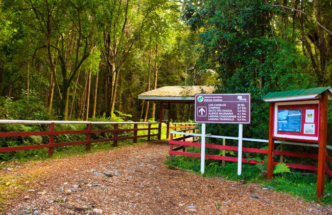 Trilha pelo Parque Nacional Alerce Andino - Foto 2