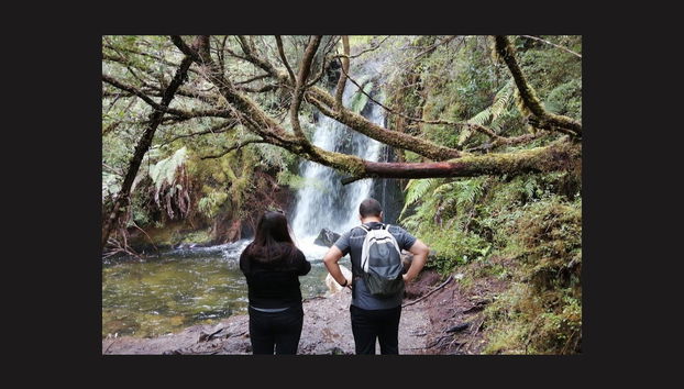 Alerce Andino National Park Trek - Foto 5