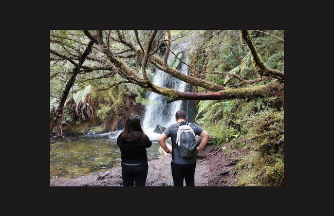 Senderismo por el Parque Nacional Alerce Andino - Foto 5