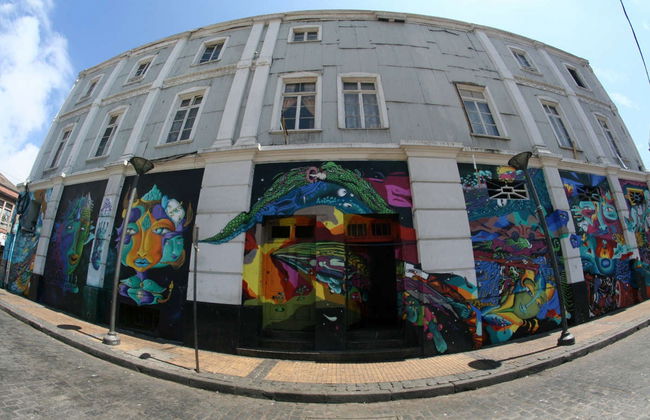 Tour della street art di Valparaíso - Foto 8