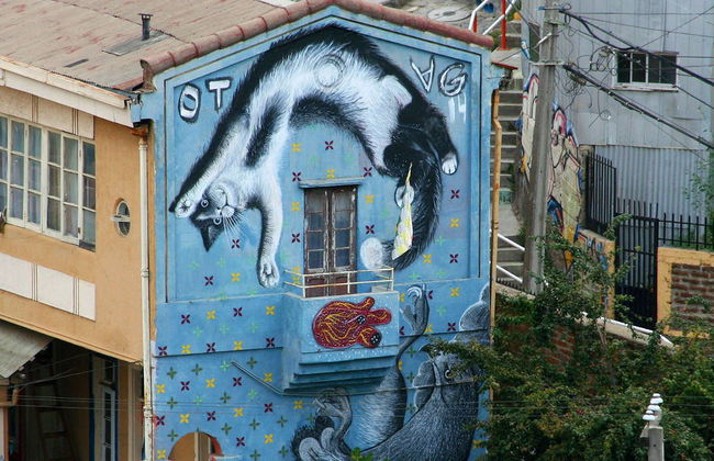 Tour della street art di Valparaíso - Foto 7