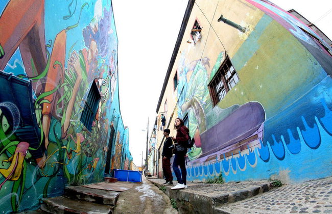 Tour della street art di Valparaíso - Foto 4