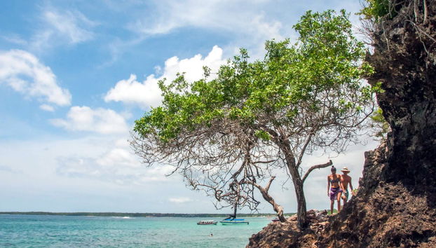 Excursão à Playa Blanca - Foto 3